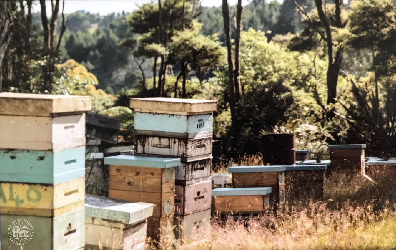 Bee's