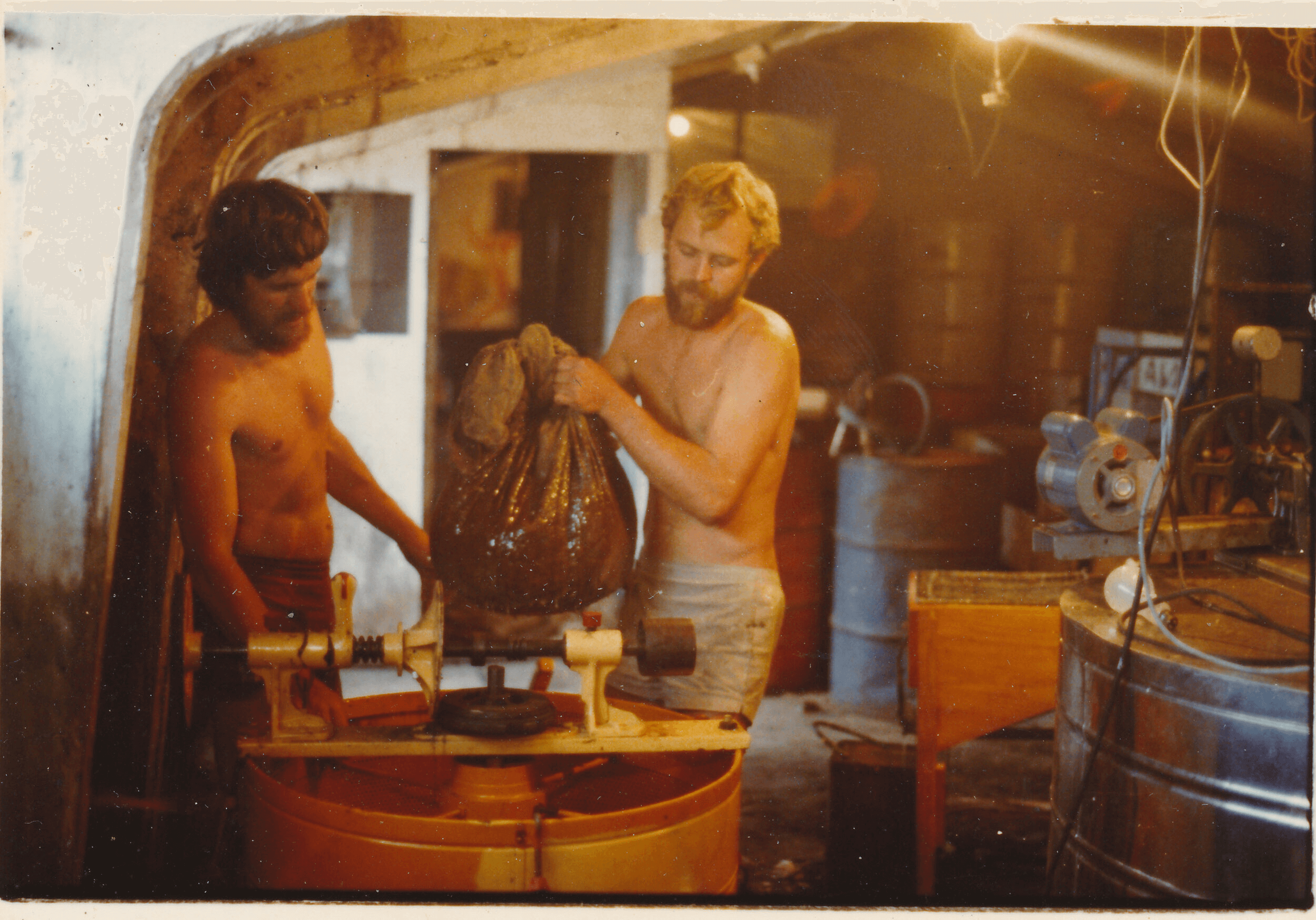 Manuka honey extraction